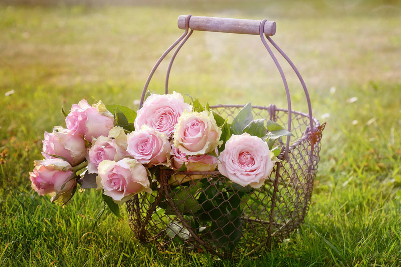 Decoration