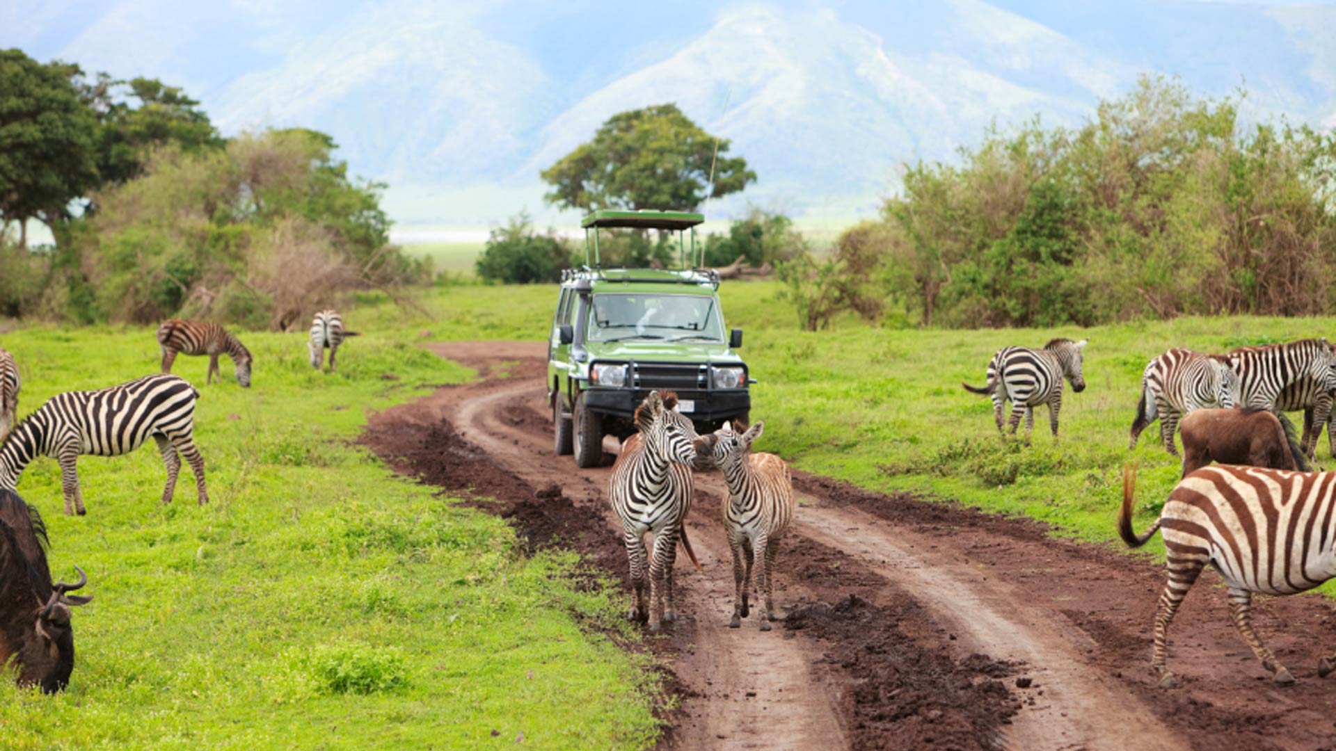 SAFARIS POR TIERRAS AFRICANAS